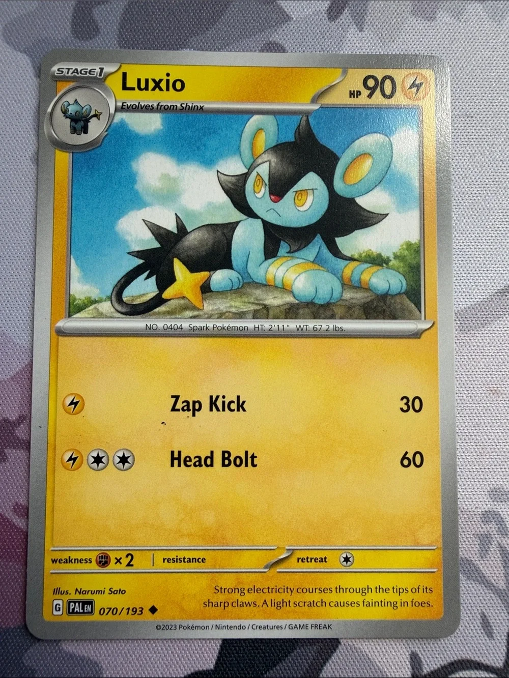 Shinx & Luxio Collection Lot | 6 Pokémon Cards | ✨5/$25✨